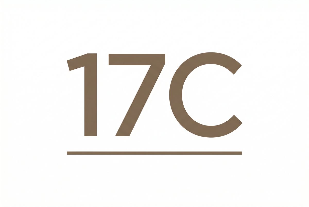 17C品牌Logo - kkgztmq.cn